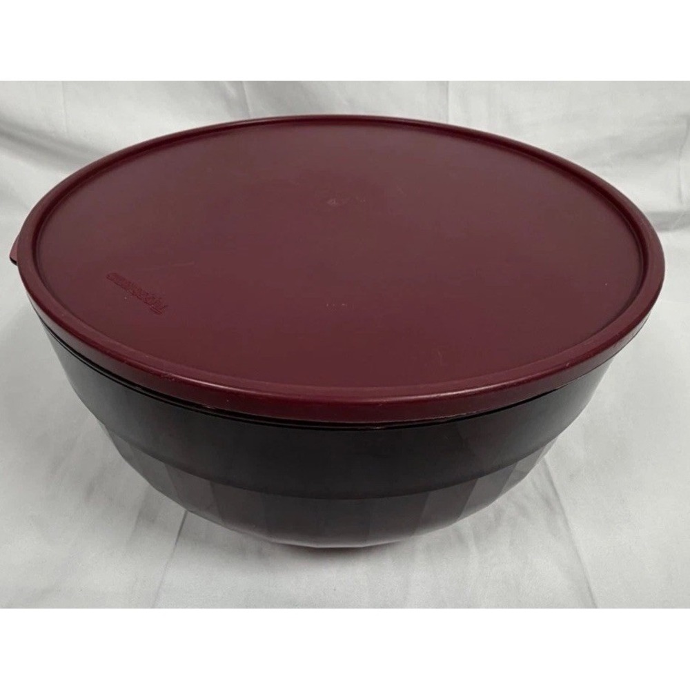 Tupperware Preludio Cranberry Salad /Punch/serving Bowl With Tray Acrylic